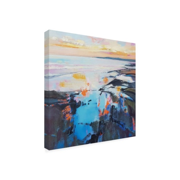 Andrew Kinmon 'Rock Pool Sunrise' Canvas Art,18x18